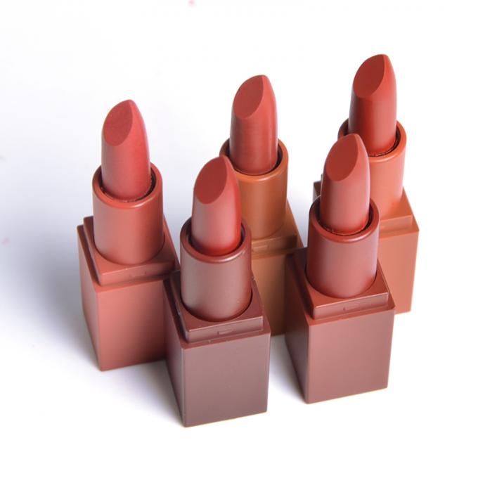 Produits de maquillage imperméables de lèvre de cosmétiques 24 heures d'ensemble mat durable de rouge à lèvres