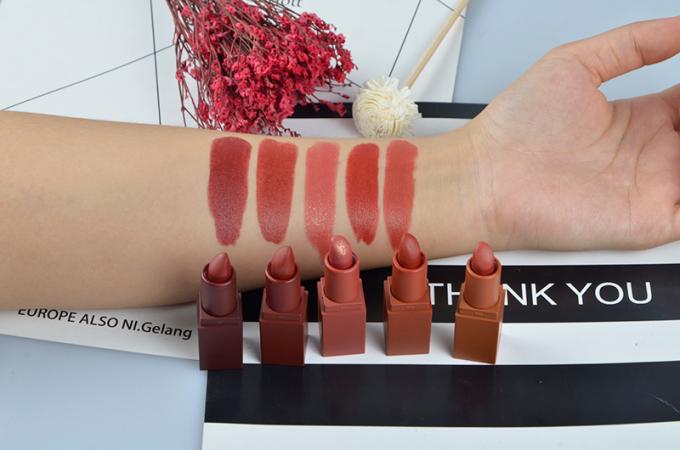 Colorant réglé de rouge à lèvres crème mat de 5 de couleur de lèvre produits de maquillage haut imperméable