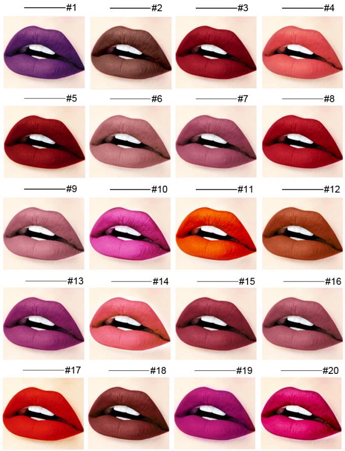 Rouge à lèvres liquide de lèvre de produits de maquillage de couleur imperméable de la marque de distributeur 20 non collant