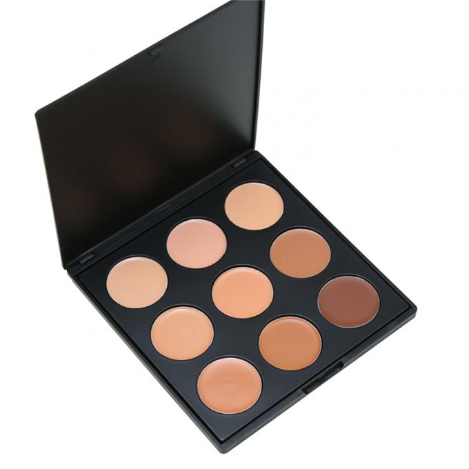 Crayon correcteur crème de maquillage de visage pour le poids léger durable de crayon correcteur de peau sèche