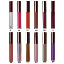 Chine 15 cosmétiques Lipgloss de maquillage de lèvre de couleurs hydratant 10g avec le logo privé usine